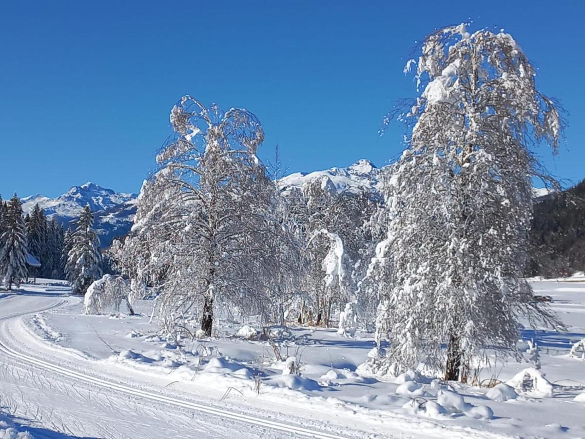 Landhaus Vogel Apartment Weissensee Luaran gambar